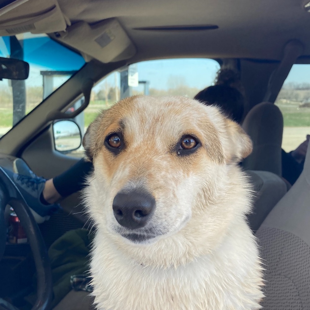 Meet your Posher, Eleanor